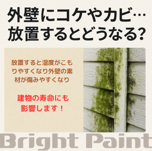 外壁にコケやカビ…放置するとどうなる?外壁にコケやカビ…放置するとどうなる?|外壁塗装 屋根塗装|埼玉北エリアの外壁屋根施工はブライトペイントへ